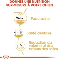 Croquette pour chien Shih Tzu Royal Canin - 3 kg