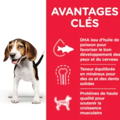 Croquette pour chiot au poulet Hill's - 12 kg