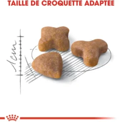 Croquettes pour chat adulte avec une sensibilité digestive Royal Canin Sensible 33 - 4 kg
