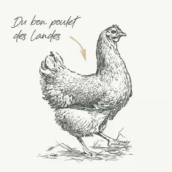 Croquettes pour chat adulte au poulet sans céréales Bab'in Signature - 1,5 kg