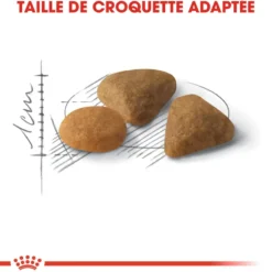 Croquettes pour chat adulte difficile Royal Canin Savour Exigent - 2 kg