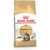 Croquettes pour chat adulte Maine Coon Royal Canin - 4 kg