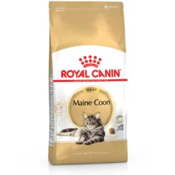 Croquettes pour chat adulte Maine Coon Royal Canin - 4 kg