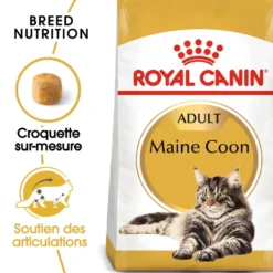 Croquettes pour chat adulte Maine Coon Royal Canin - 4 kg
