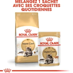 Croquettes pour chat adulte Maine Coon Royal Canin - 4 kg