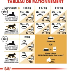 Croquettes pour chat adulte Maine Coon Royal Canin - 4 kg