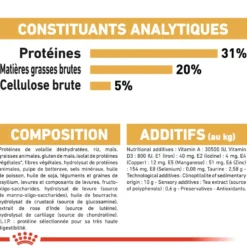 Croquettes pour chat adulte Maine Coon Royal Canin - 4 kg