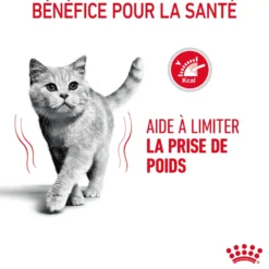 Croquettes pour chat adulte Royal Canin Light Weight Care - 1,5 kg