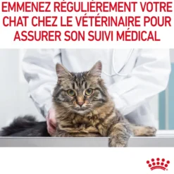 Croquettes pour chat adulte Royal Canin Light Weight Care - 1,5 kg