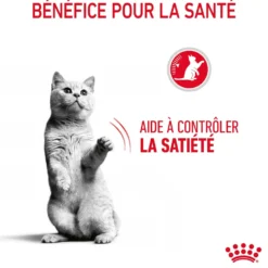 Croquettes pour chat adulte Royal Canin Appetite Control Care - 10 kg