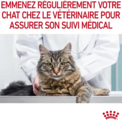 Croquettes pour chat adulte Royal Canin Appetite Control Care - 10 kg