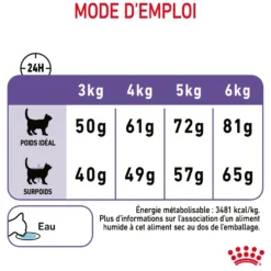 Croquettes pour chat adulte Royal Canin Appetite Control Care - 10 kg