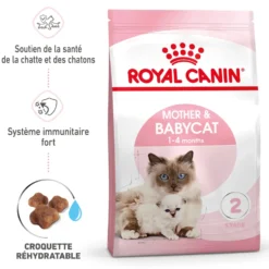 Croquettes pour chaton Royal Canin Mother & Babycat - 2 kg
