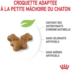 Croquettes pour chaton Royal Canin Kitten Croissance - 2 kg