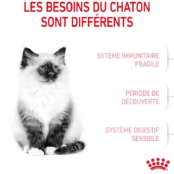 Croquettes pour chaton Royal Canin Kitten Croissance - 2 kg