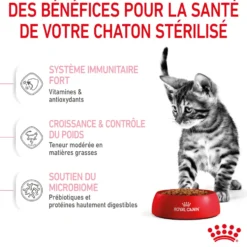Croquettes pour chaton stérilisé Royal Canin Kitten Sterilised - 2 kg