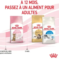 Croquettes pour chaton stérilisé Royal Canin Kitten Sterilised - 2 kg