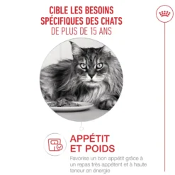 Croquettes pour chat Royal Feline Ageing 15+ grand sac - 2 kg