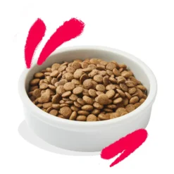 Croquettes pour chat senior au poulet et à la dinde sans céréales Edgard & Cooper - 2 kg