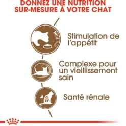 Croquettes pour chat senior Royal Canin Ageing +12 - 2 kg