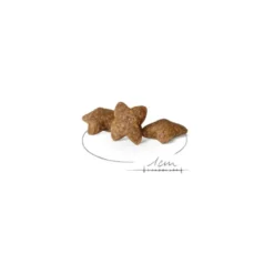 Croquettes pour chien adulte de petite taille Royal Canin Mini Adult - 8 kg