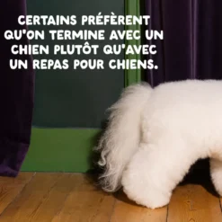 Croquettes pour chien adulte au poulet sans céréales Edgard & Cooper - 12 kg