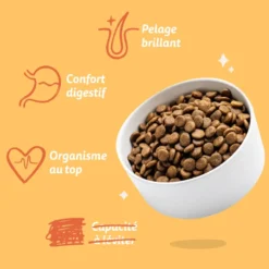Croquettes pour chien adulte au poulet sans céréales Edgard & Cooper - 12 kg