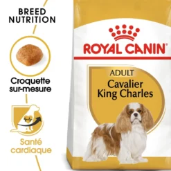 Croquettes pour chien adulte Cavalier King Charles Royal Canin - 3 kg