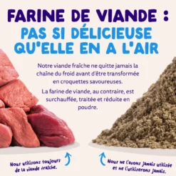 Croquettes pour chien adulte au saumon sans céréales Edgard & Cooper - 2,5 kg