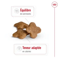 Croquettes pour chien mature de petite taille Royal Canin Mini Adult 8+ - 4 kg