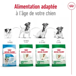 Croquettes pour chien mature de petite taille Royal Canin Mini Adult 8+ - 4 kg