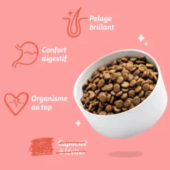 Croquettes pour chien senior au poulet et au saumon sans céréales Edgard & Cooper - 2,5 kg