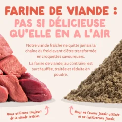Croquettes pour chien senior au poulet et au saumon sans céréales Edgard & Cooper - 2,5 kg