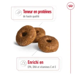 Croquettes pour chien senior de taille moyenne Royal Canin Medium Ageing 10+ - 15 kg