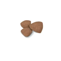 Croquettes pour chiot de petite race Royal Canin Mini Puppy - 8 kg