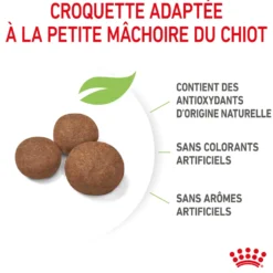 Croquettes pour chiot de taille moyenne Royal Canin Medium Junior - 12 kg