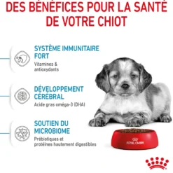 Croquettes pour chiot de taille moyenne Royal Canin Medium Junior - 12 kg