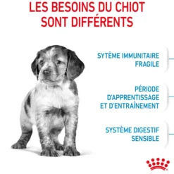 Croquettes pour chiot de taille moyenne Royal Canin Medium Junior - 12 kg