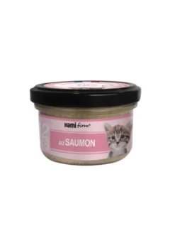 Cuisiné pour chat recette n°31 Chaton Saumon