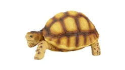 Décoration pour terrarium coloris marron en résine figurine tortue terrestre Terratlantis - 10 x 6,5 x 5 cm