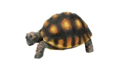 Décoration pour terrarium coloris marron en résine figurine tortue tigrée Terratlantis - 10 x 6,5 x 5 cm