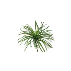 Décor avec herbe verte en tissu pour terrarium 25 x 50 cm
