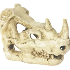 Décor pour vivarium en résine coloris beige Reptile Planet Rhinocéros Skull - 16 x 10 x 12 cm