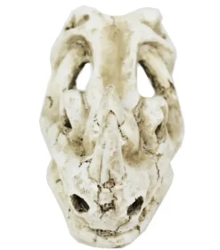 Décor pour vivarium en résine coloris beige Reptile Planet Rhinocéros Skull - 16 x 10 x 12 cm