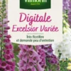 Digitale Excelsior Variée Vilmorin - graines à semer