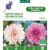 Duo de Dahlia décoratif bio café au lait/Lavender perfection rose et blanc botanic® - 2 bulbes