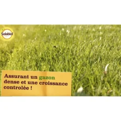 Engrais pour gazon Solabiol - le sac de 10 kg