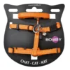 Ensemble sellerie pour chat coloris orange en nylon harnais et laisse Bobby Safe - Taille XS