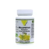 Extrait standardisé de millepertuis bio en boite de 250 mg