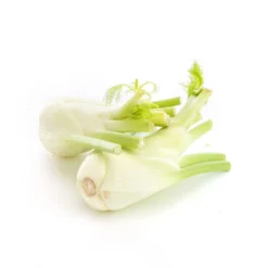 Fenouil bio - Prix au kg
